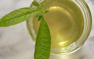 Lemon Verbena Simple Syrup