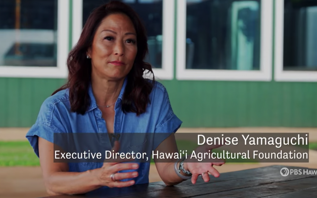 Scaling Up | PBS HAWAIʻI PRESENTS
