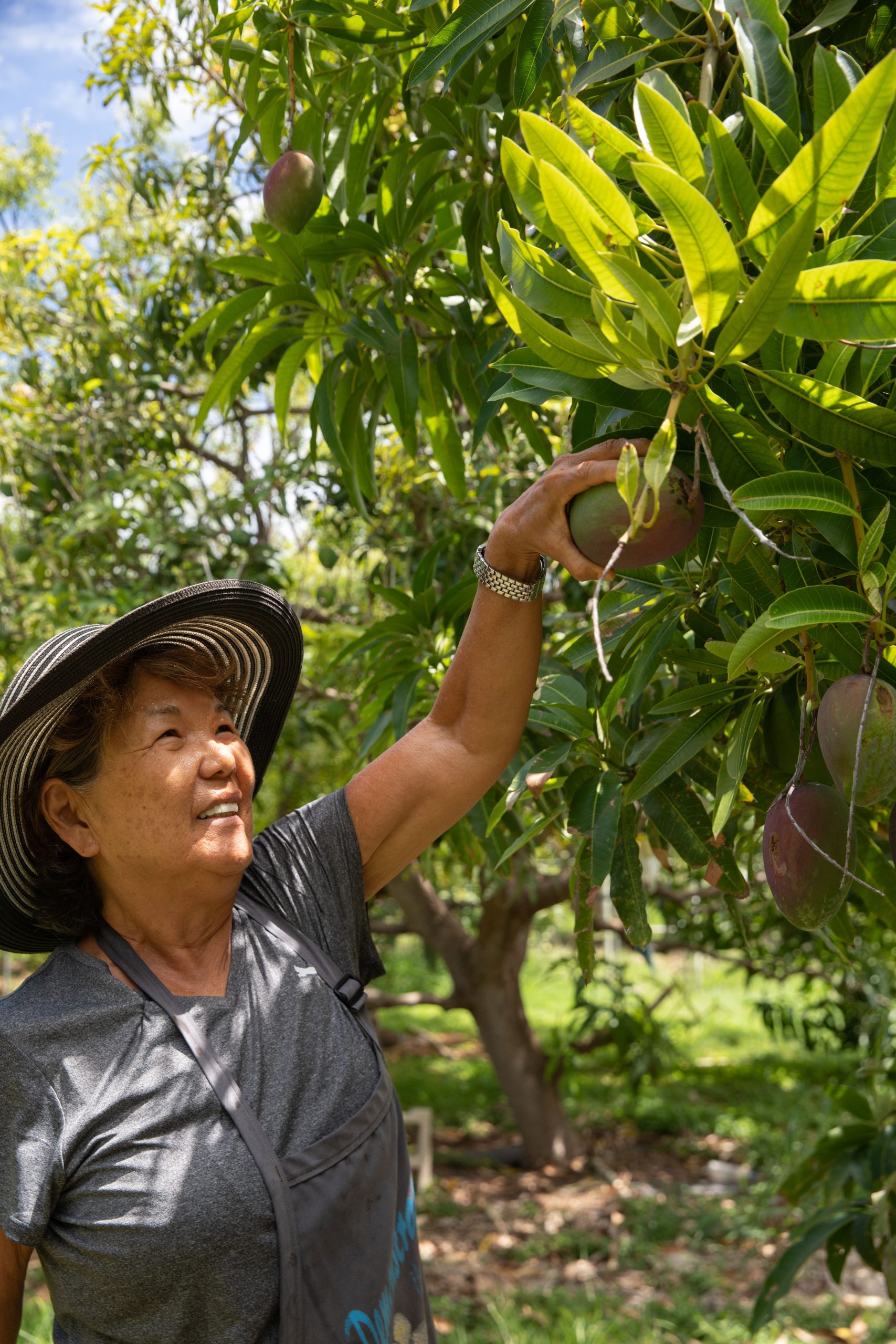 Top Notch Fruits Hawai'i Agricultural Foundation