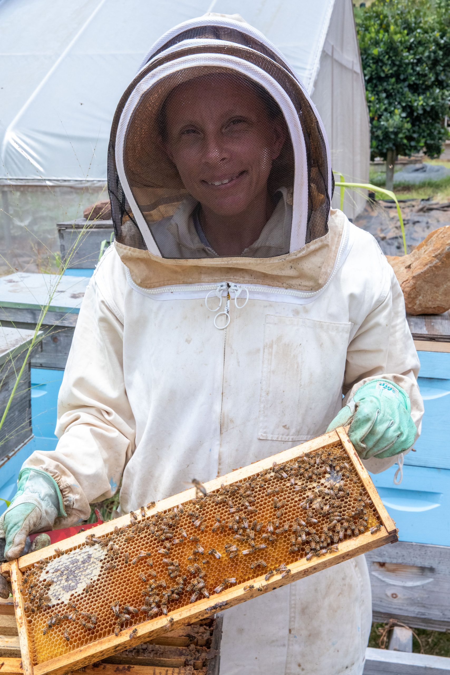 Hawai'i Beekeepers' Association