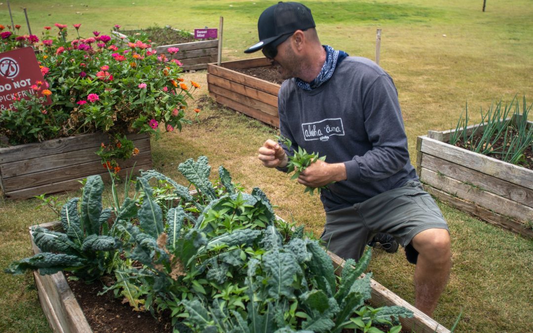 Kahuku Farms