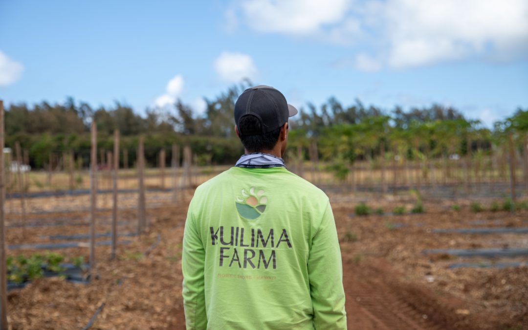Kuilima Farm