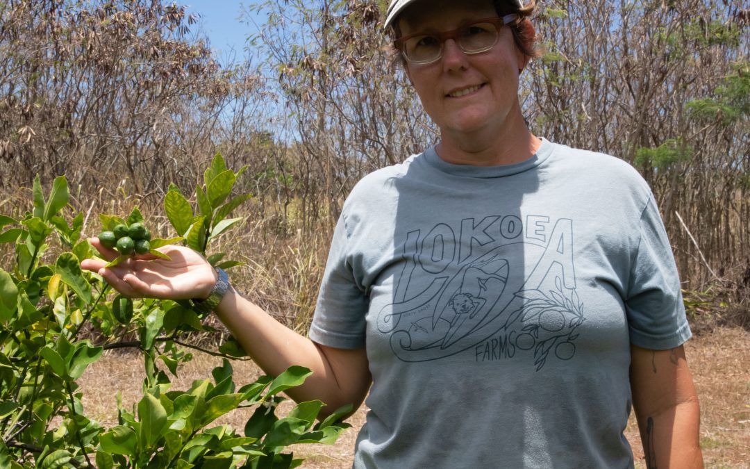 Lokoea Farms