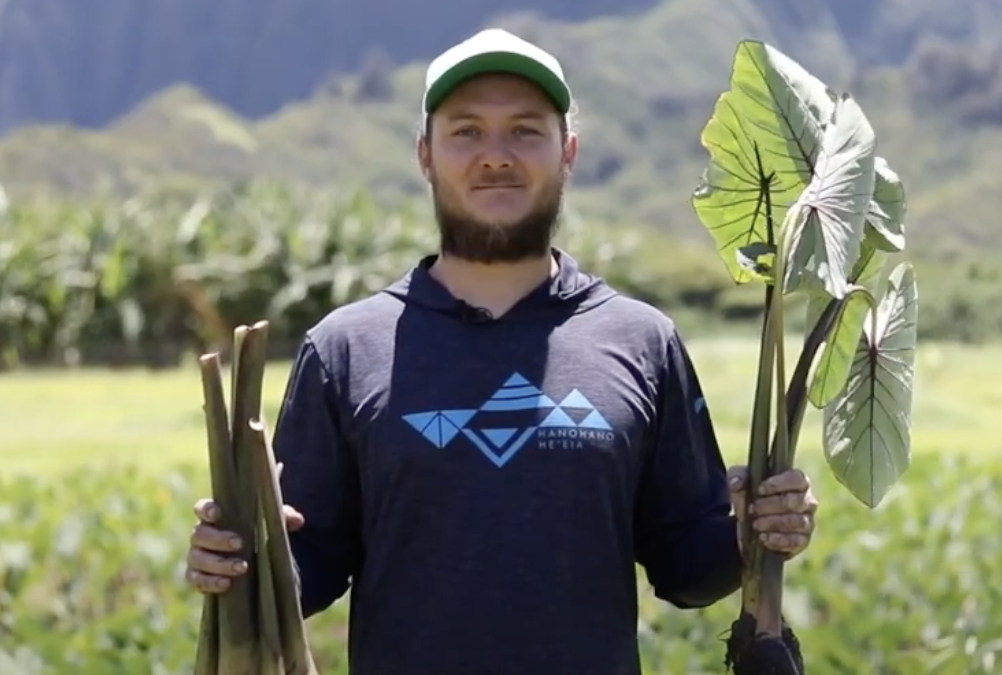 Kākoʻo ʻŌiwi