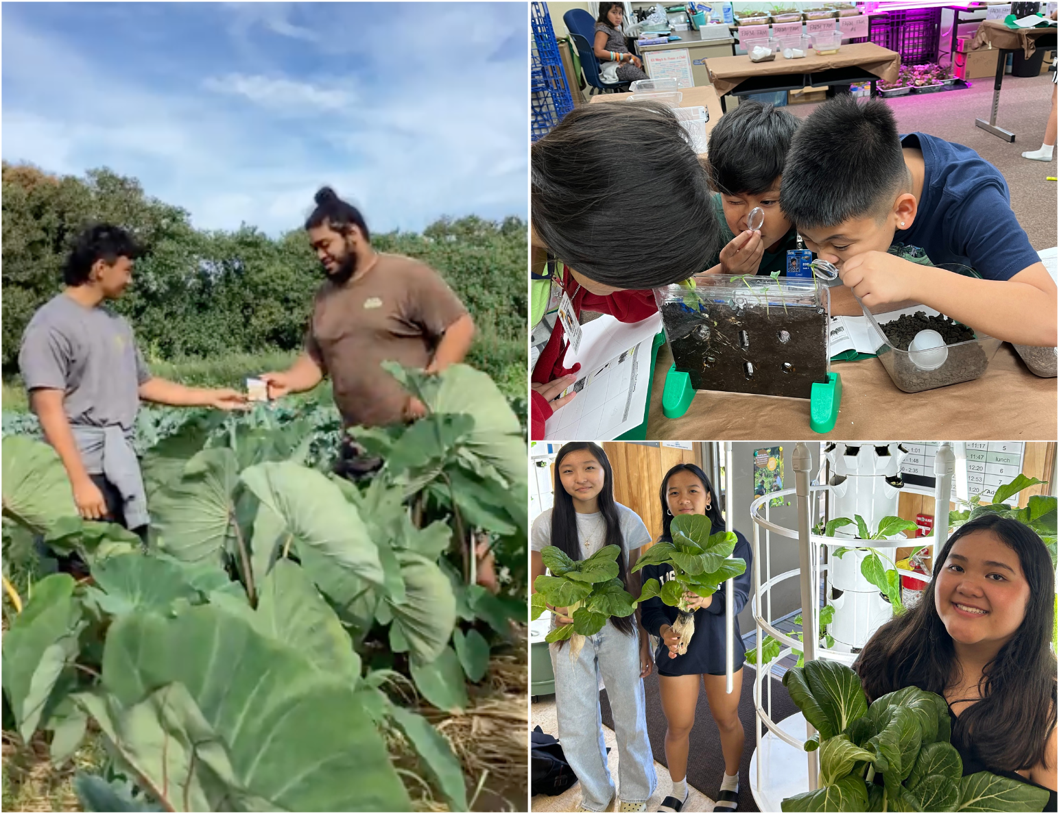 2025 Annual Campaign_HAF Landing